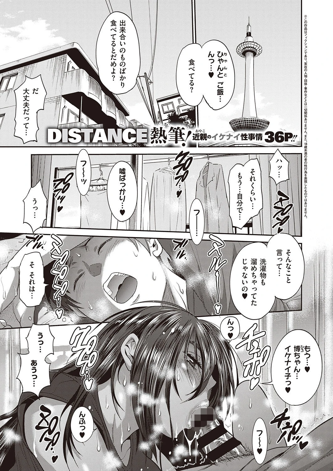 母と息子の秘め事 DISTANCE