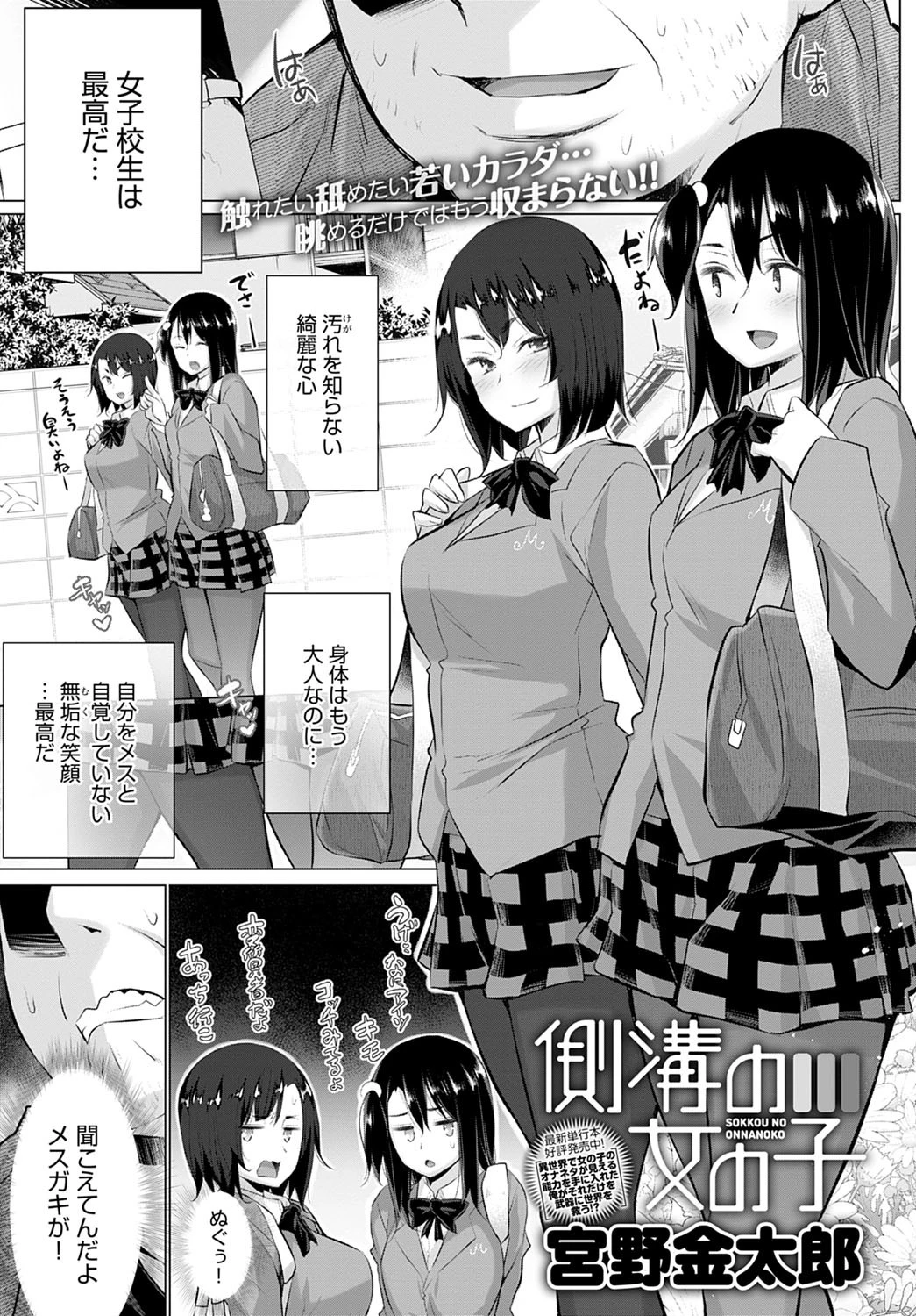 側溝の女の子 宮野金太郎