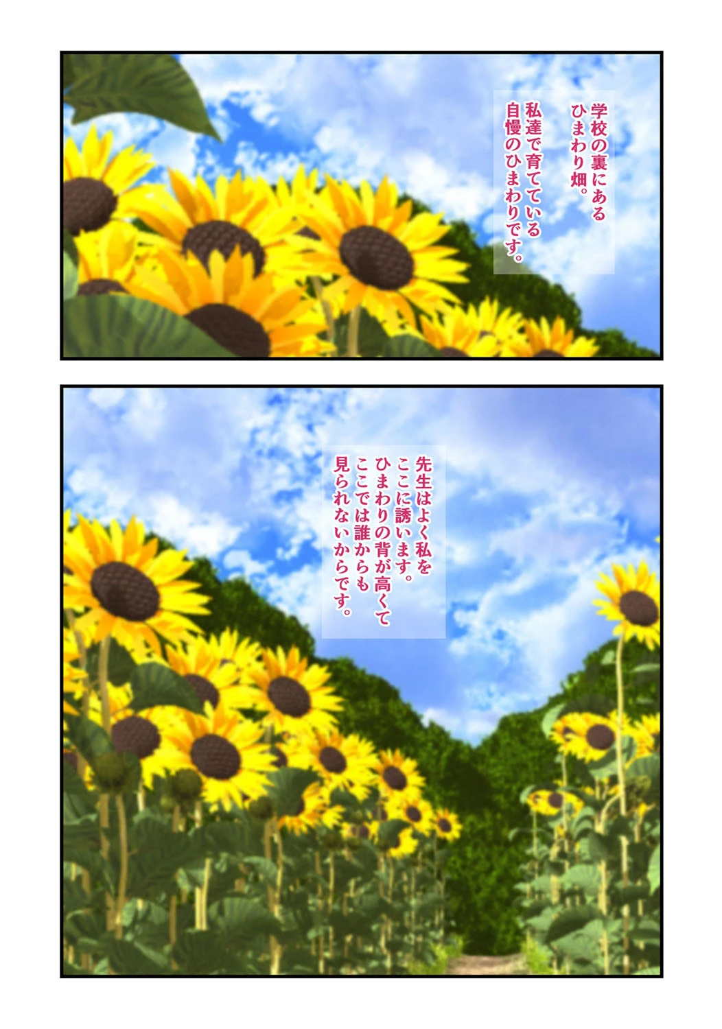 夏の夜伽-客間で、ひまわり畑で、川原で…純朴な女の子と汗だくになりながら肌を重ね…- （3） 4ページ