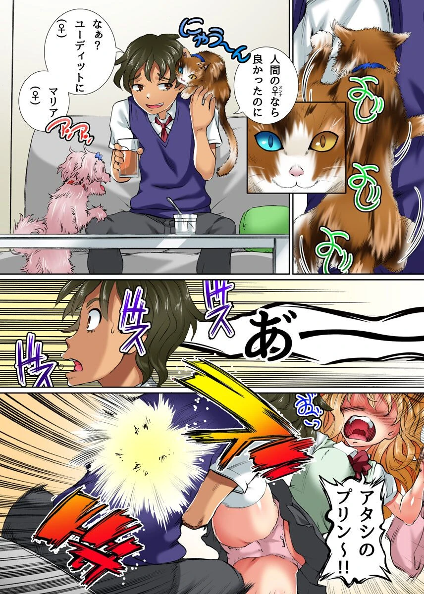 女の子たちが憑依されて本能のままにサカるビッチになっちゃったから家でも外でもヤりまくりっ！（単話） 3ページ