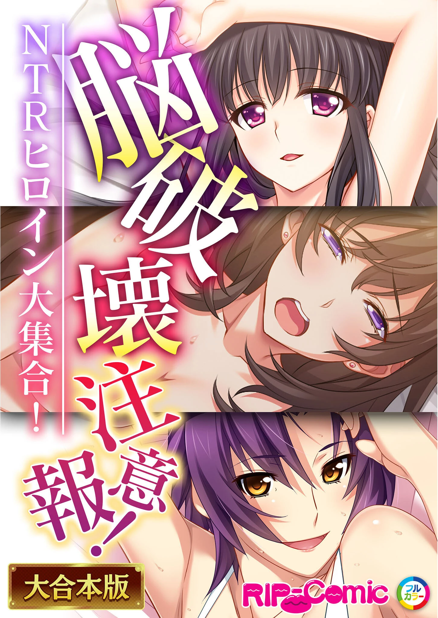 脳破壊注意報！NTRヒロイン大集合！【大合本シリーズ】 エロ漫画 無料