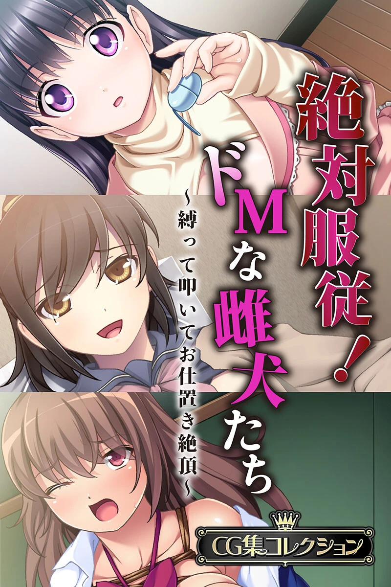 絶対服従！ドMな雌犬たち 〜縛って叩いてお仕置き絶頂〜【CG集コレクション】 エロ漫画 無料