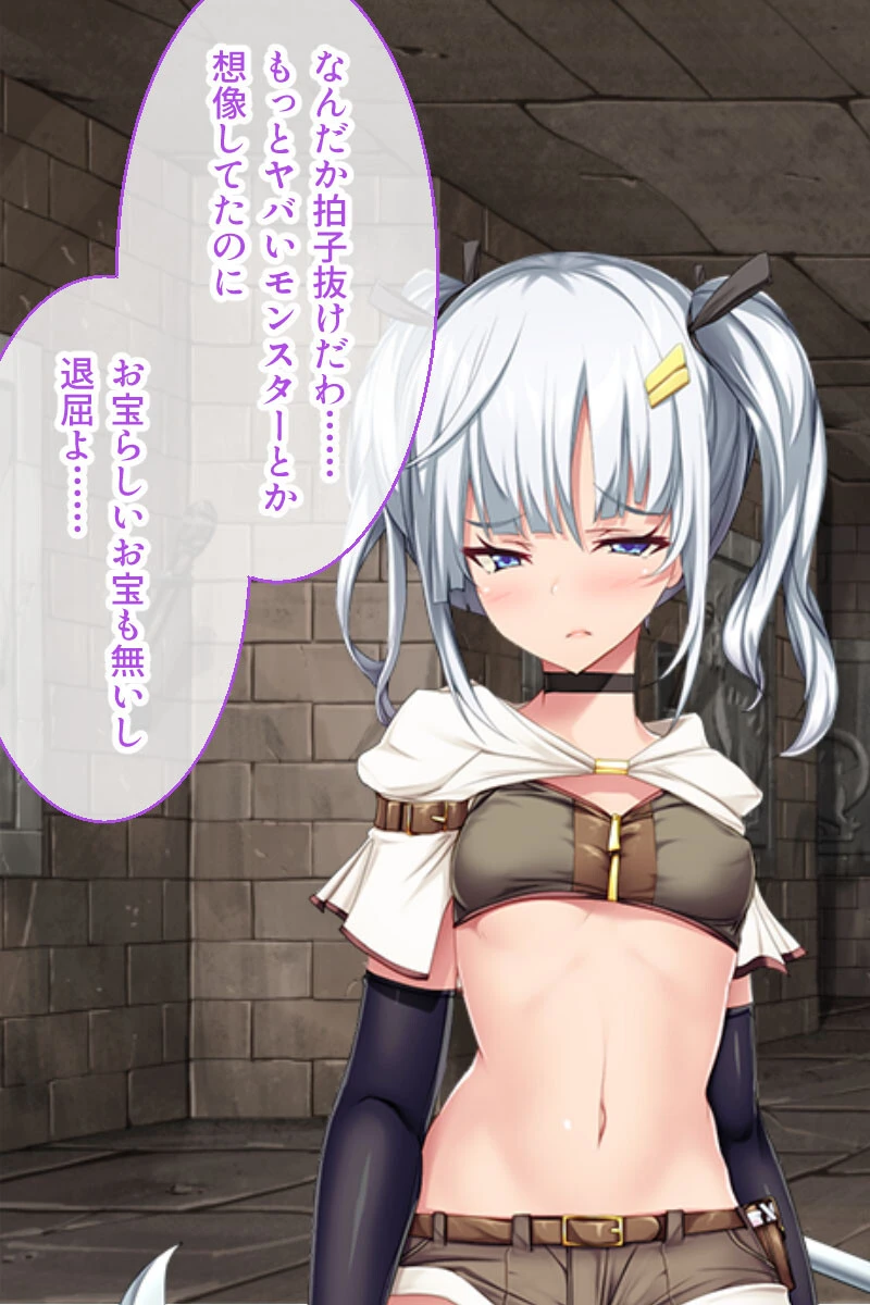 強気な女冒険者vs絶倫モンスター 〜異種生物に侵蝕攻略されました〜【CG集コレクション ミニ】 14ページ