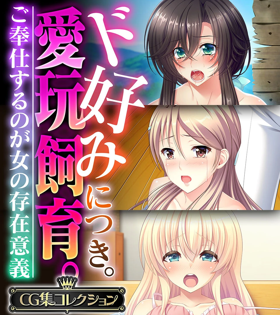 ド好みにつき。愛玩飼育 。 〜ご奉仕するのが女の存在意義〜【CG集コレクション】 エロ漫画 無料