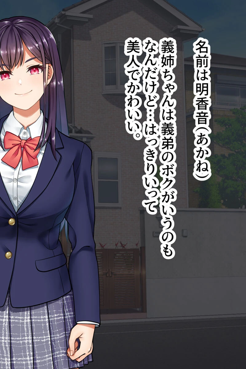 怒りが頂点に達したので姉ちゃんに触手で復讐します 6ページ