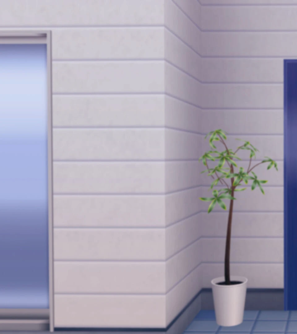 絶対に逆らわない義妹 3ページ