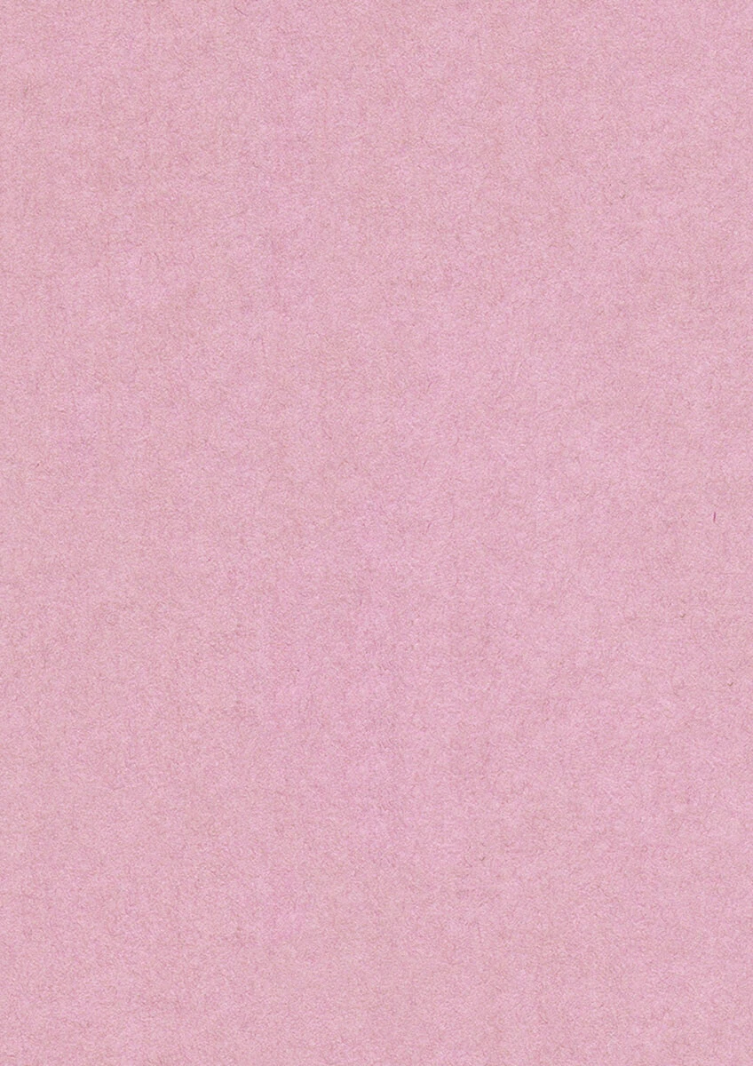 女性のための絶対に落ちない就活術 6ページ