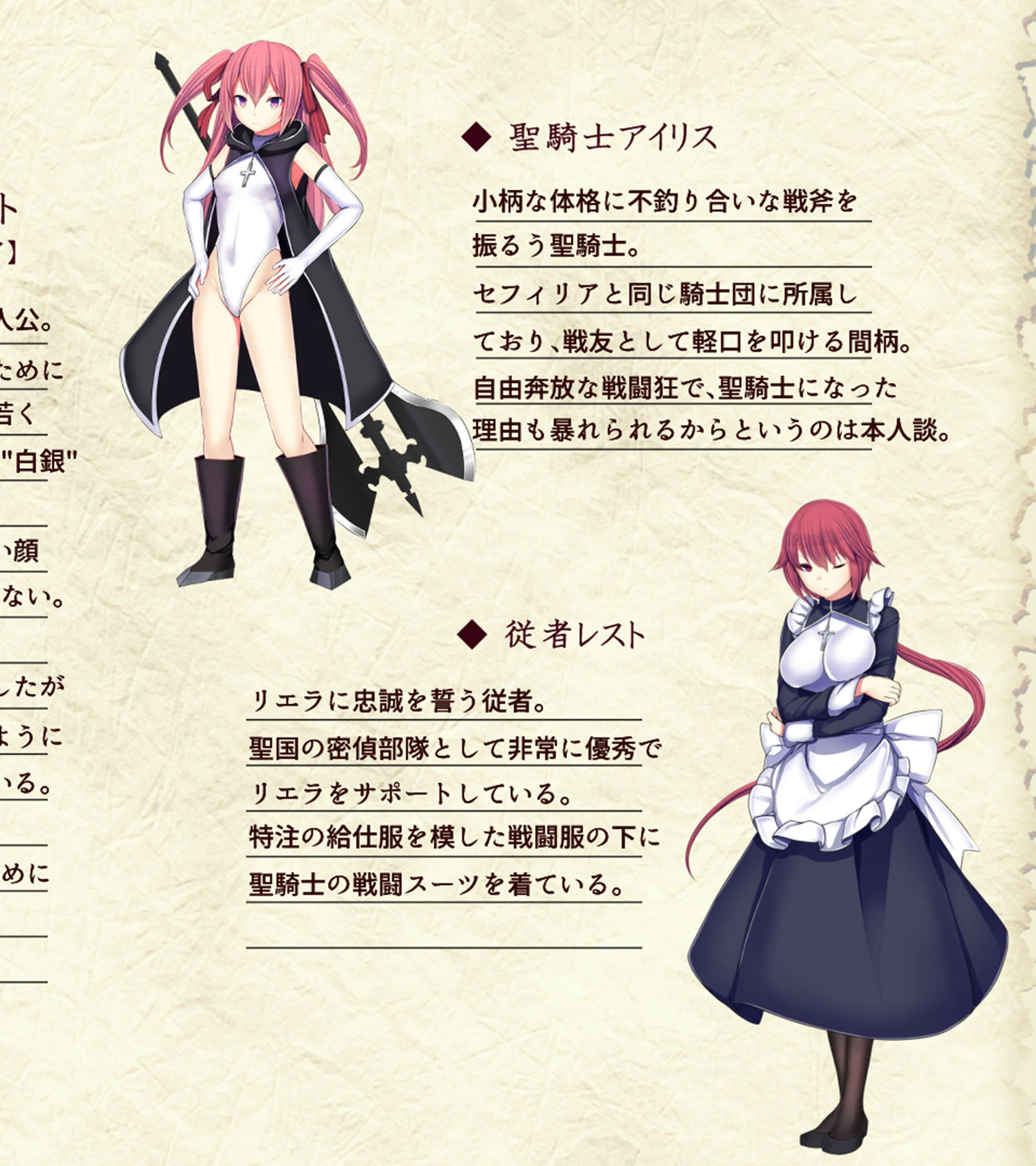 戦姫バッドエンドII -聖なるヒロイン無様敗北CG集- 6ページ