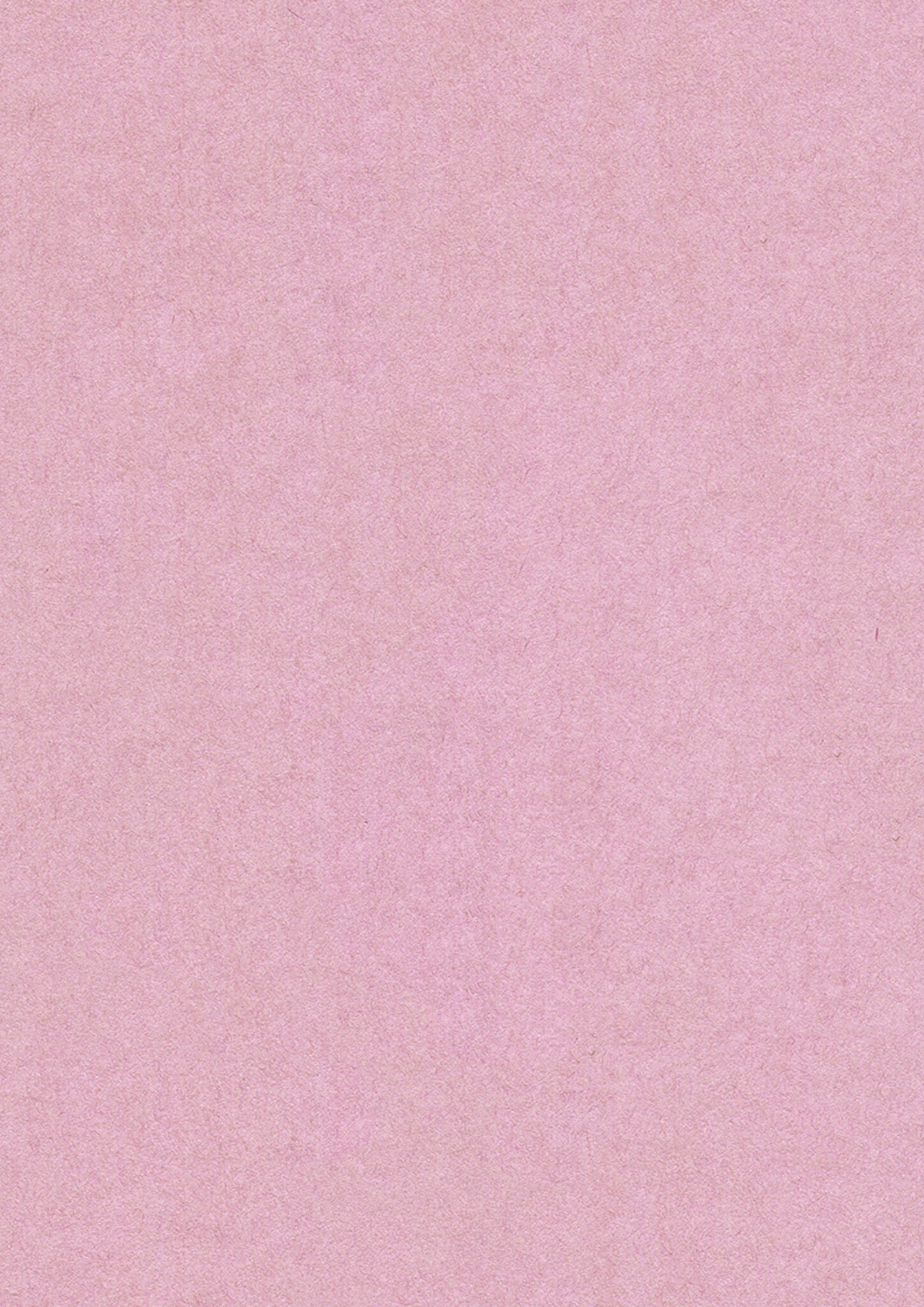 女性のための絶対に落ちない就活術 モザイク版 6ページ