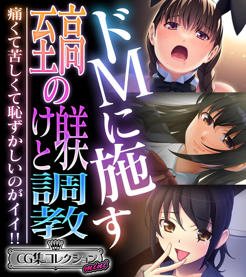 ドMに施す至高の躾けと調教 〜痛くて苦しくて恥ずかしいのがイイ！！〜【CG集コレクション ミニ】 エロ漫画 無料