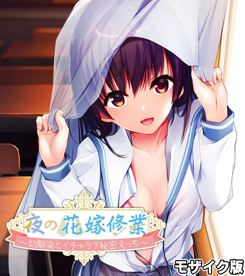 夜の花嫁修業〜幼馴染とイチャラブ秘密えっち〜 モザイク版 エロ漫画 無料