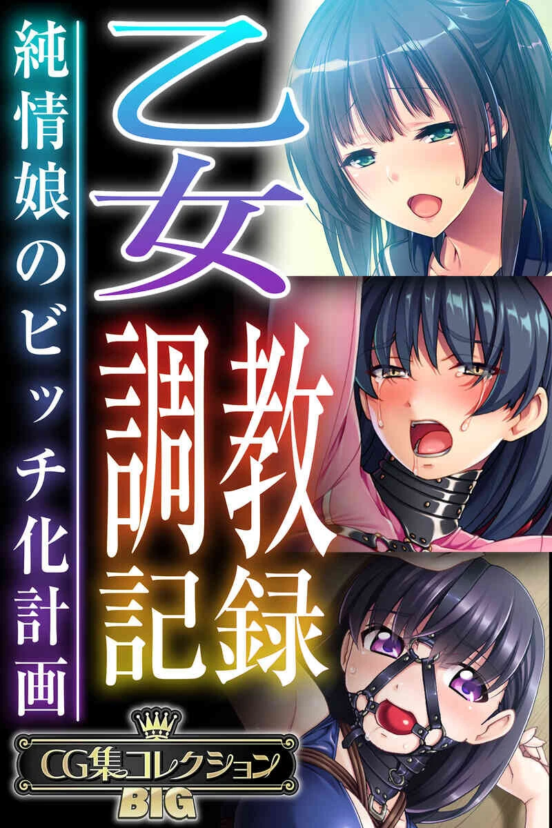 乙女調教記録〜純情娘のビッチ化計画〜【CG集コレクションBIG】 エロ漫画 無料