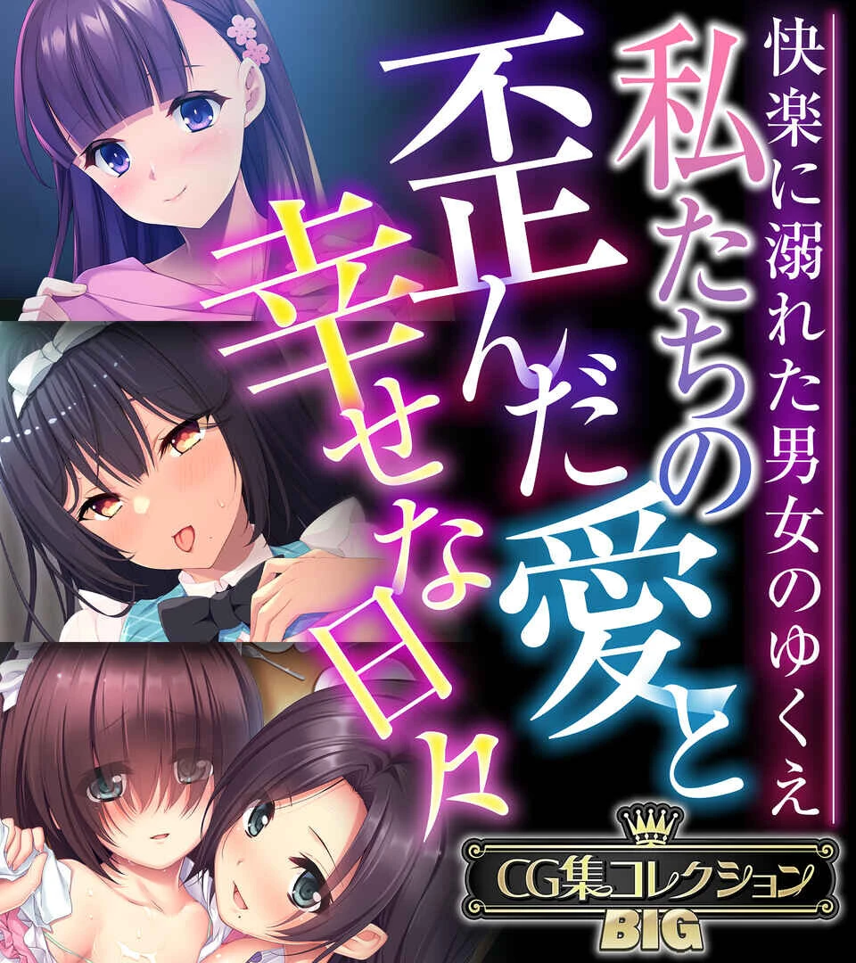 私たちの歪んだ愛と幸せな日々 〜快楽に溺れた男女のゆくえ〜【CG集コレクションBIG】 エロ漫画 無料