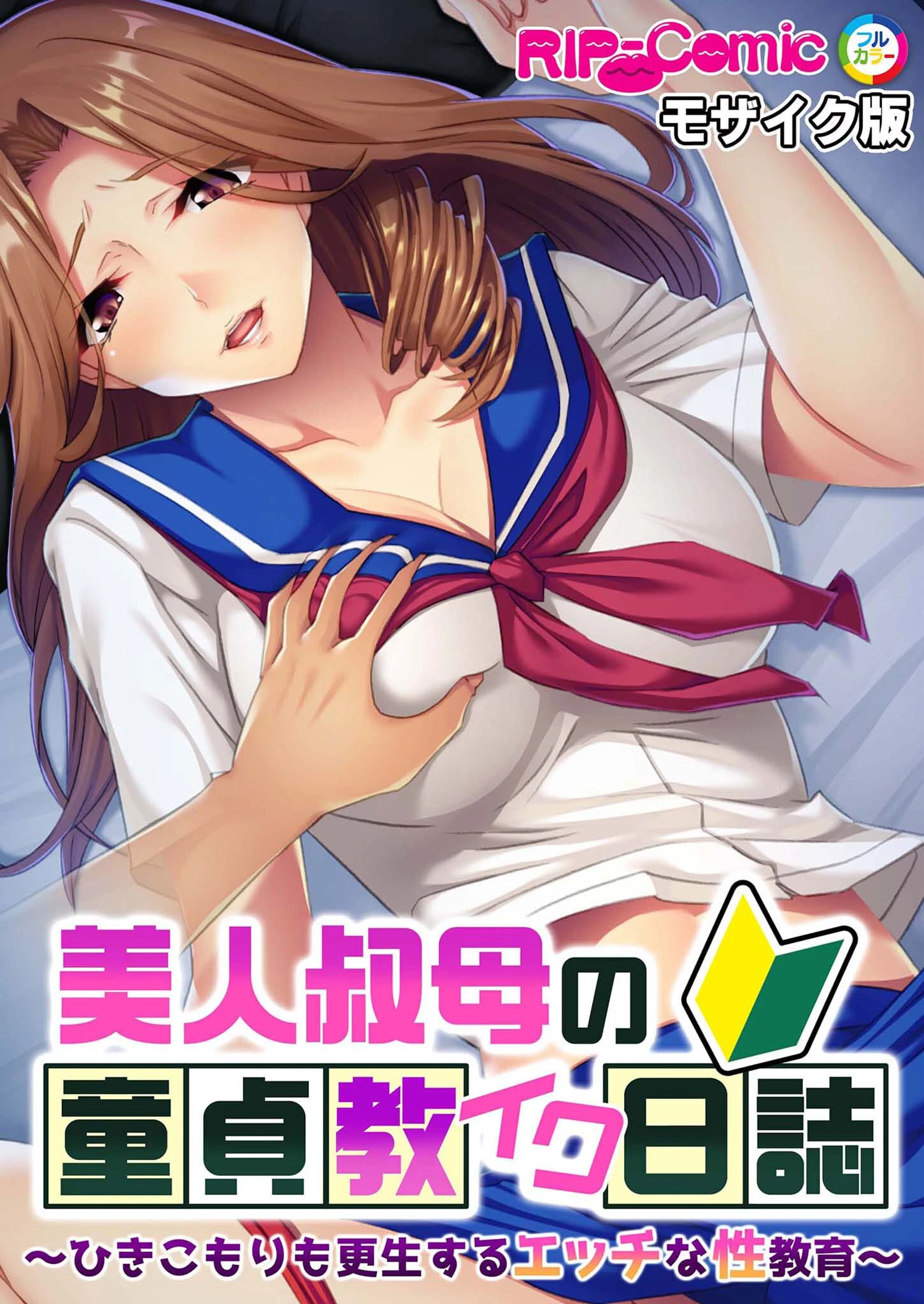 美人叔母の童貞教イク日誌 〜ひきこもりも更生するエッチな性教育〜 モザイク版 エロ漫画 無料