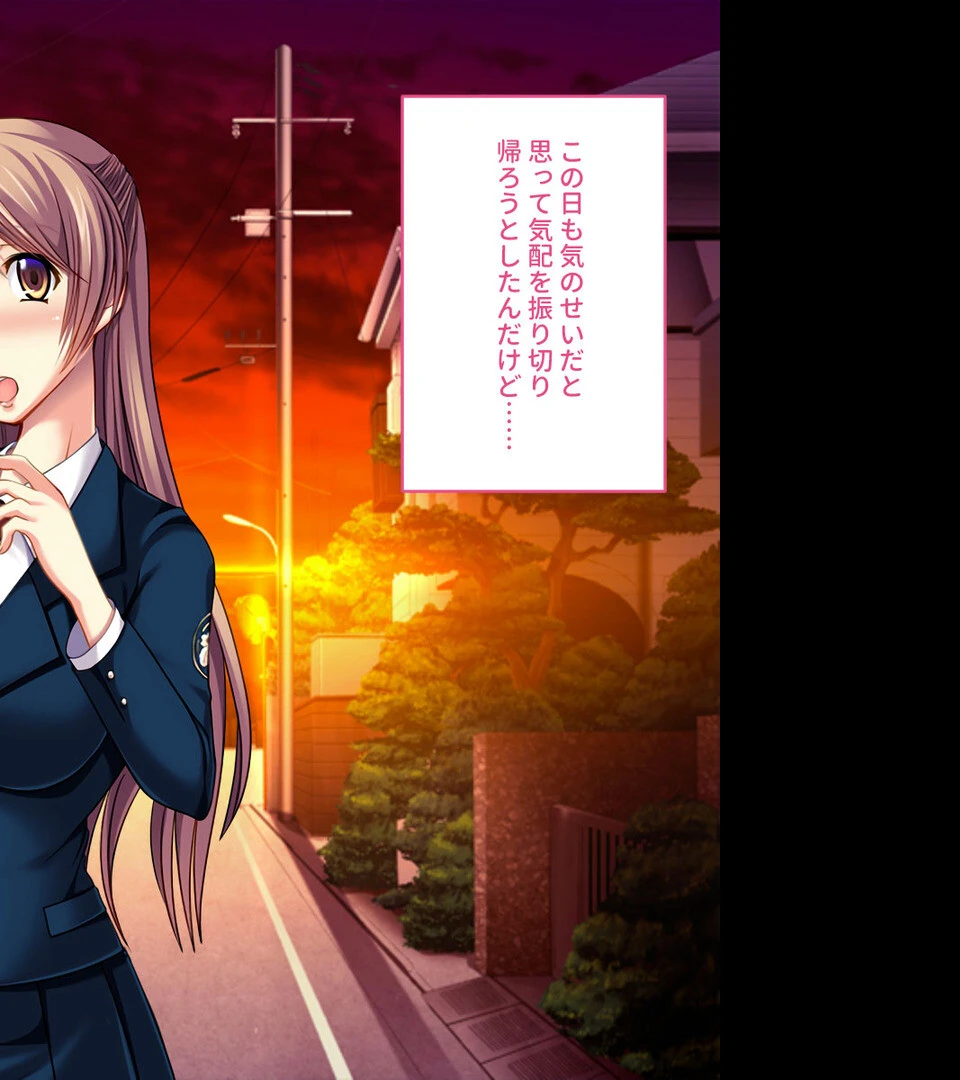 純真ヒロインの淫らな成れの果て 〜正義を塗り潰された雌の無様な顔よ〜【CG集コレクション ミニ】 5ページ