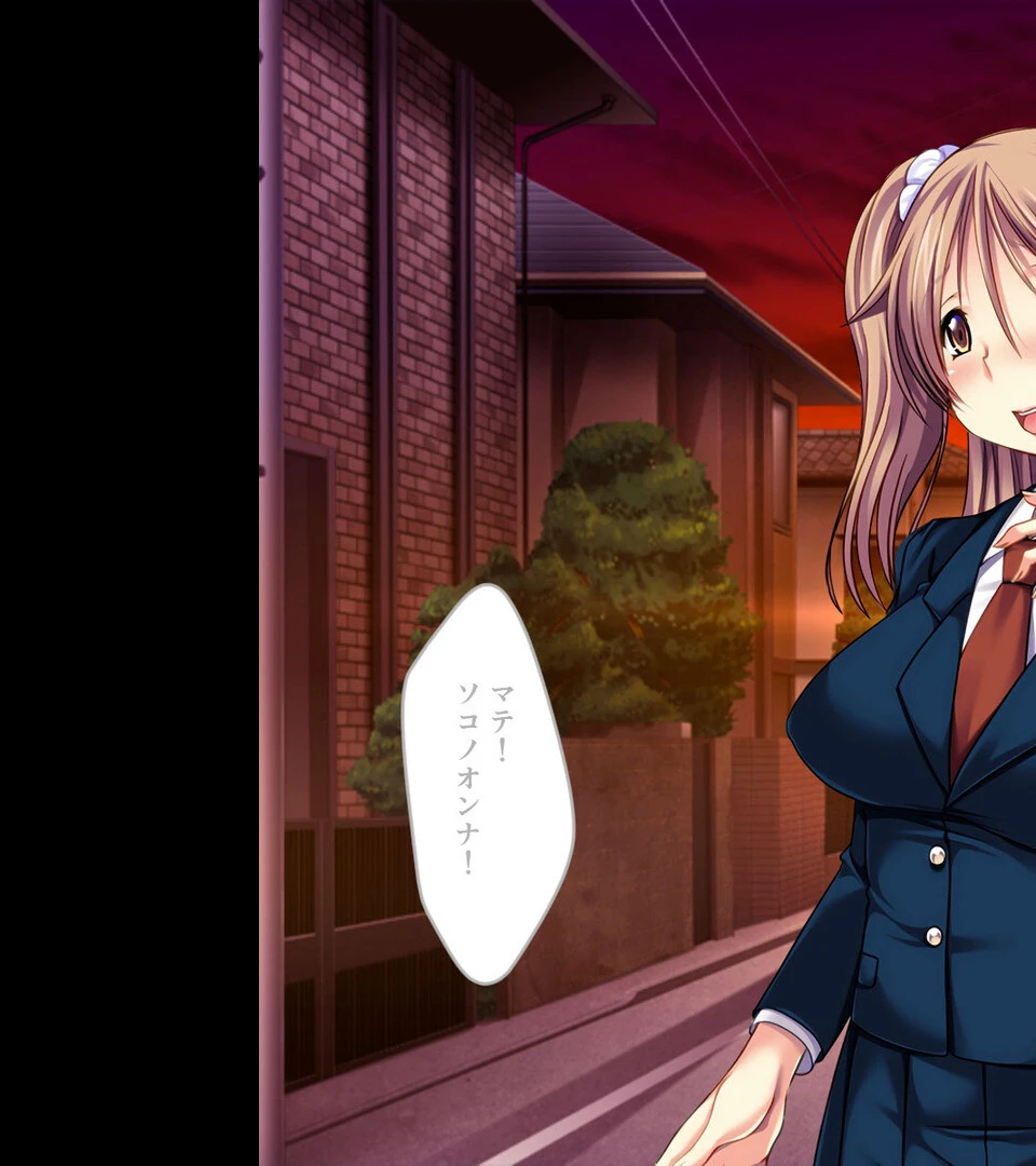 純真ヒロインの淫らな成れの果て 〜正義を塗り潰された雌の無様な顔よ〜【CG集コレクション ミニ】 6ページ