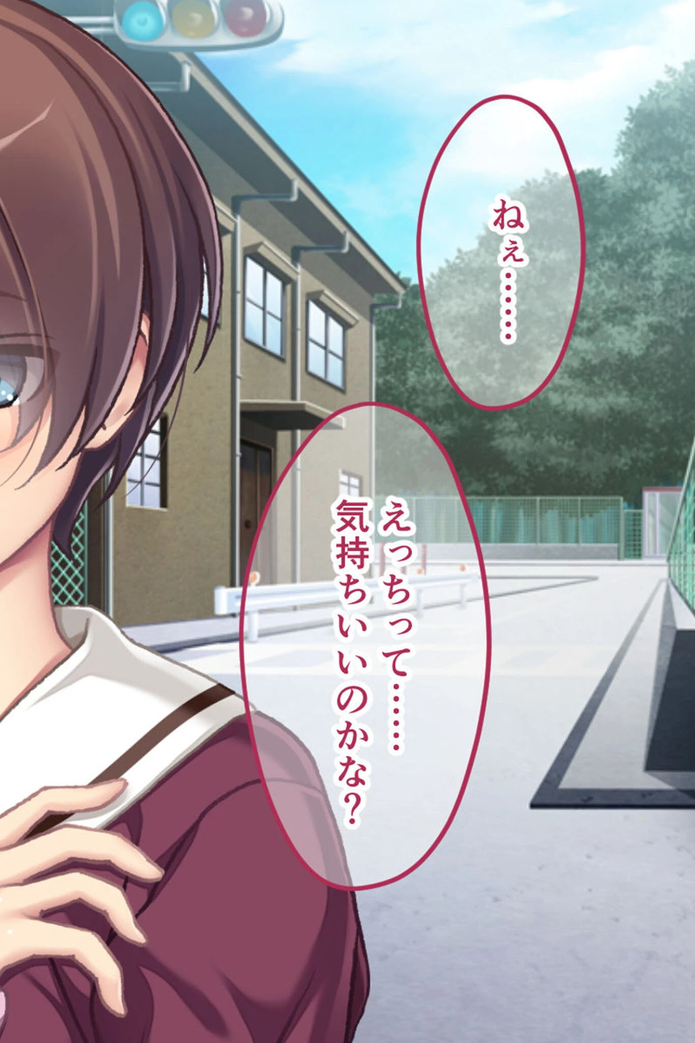 幼なじみがハード緊縛SMにハマるまで 〜変態カップルのブッ飛び興奮絶頂!!〜 モザイク版 12ページ