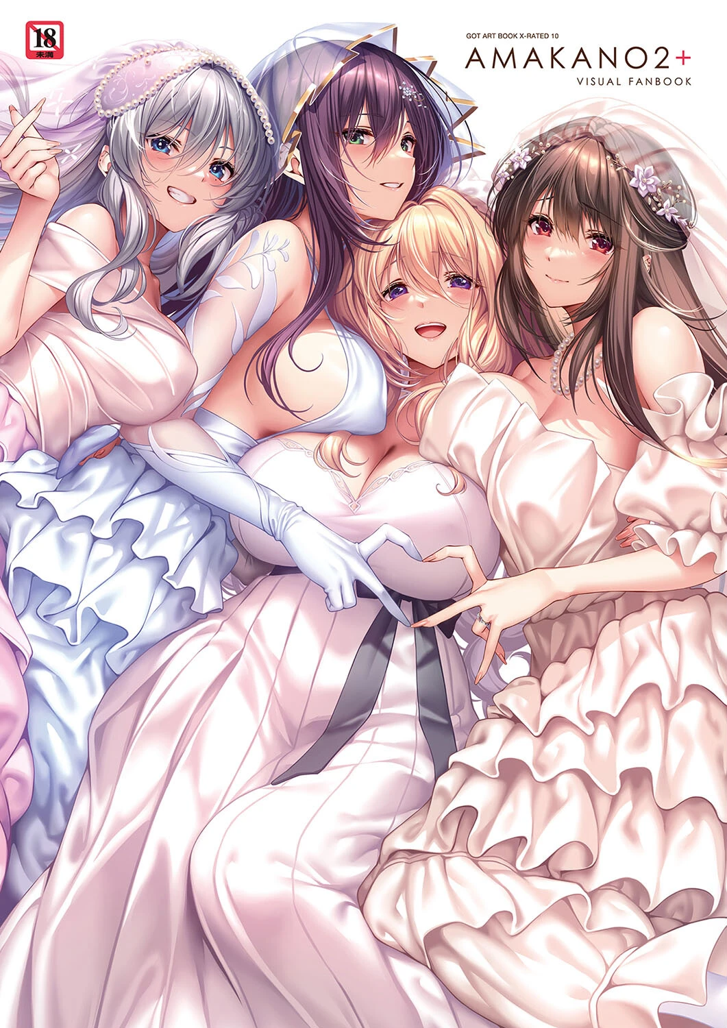 アマカノ2＋ ビジュアルファンブック ピロ水