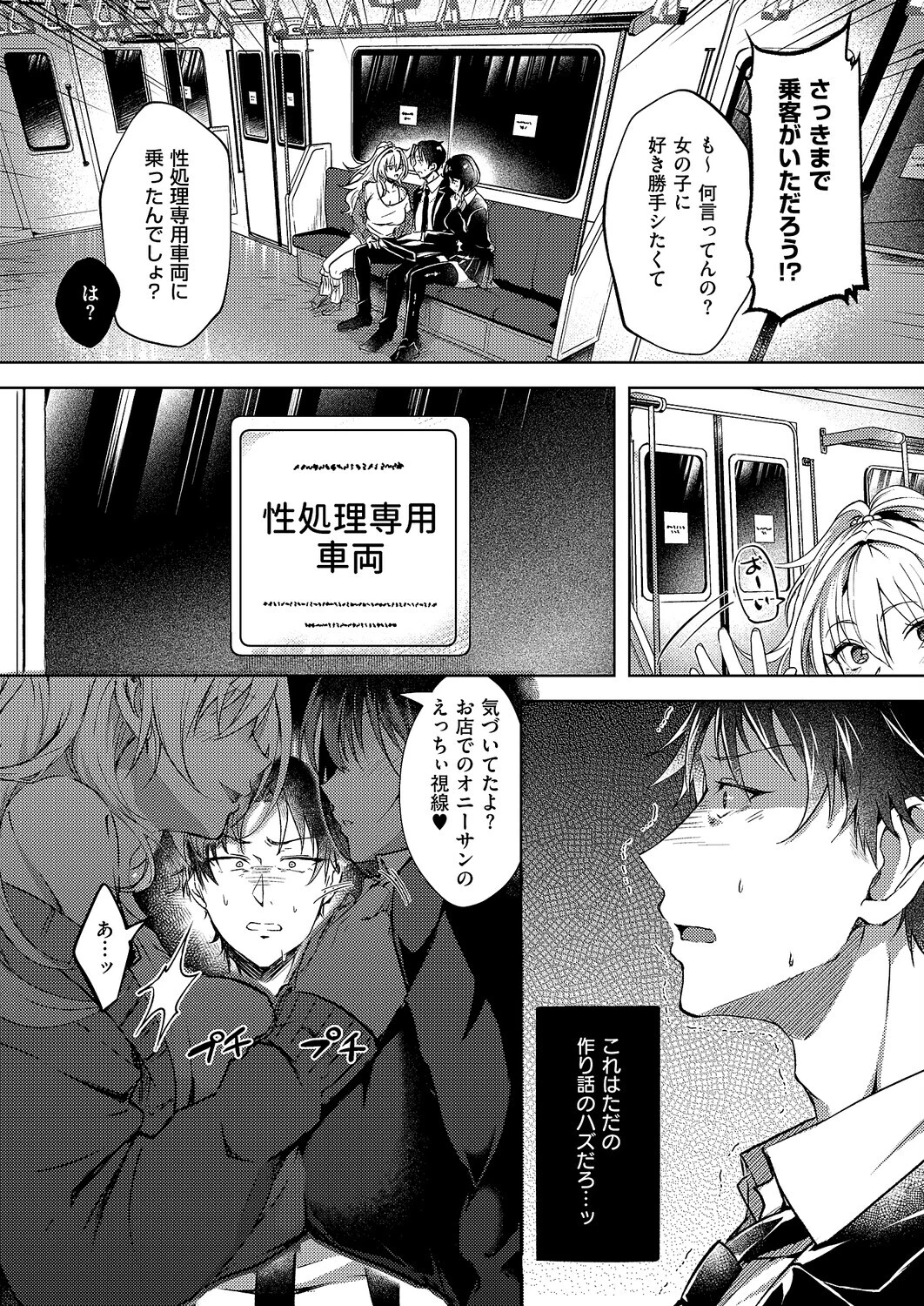 性処理専用車両 6ページ