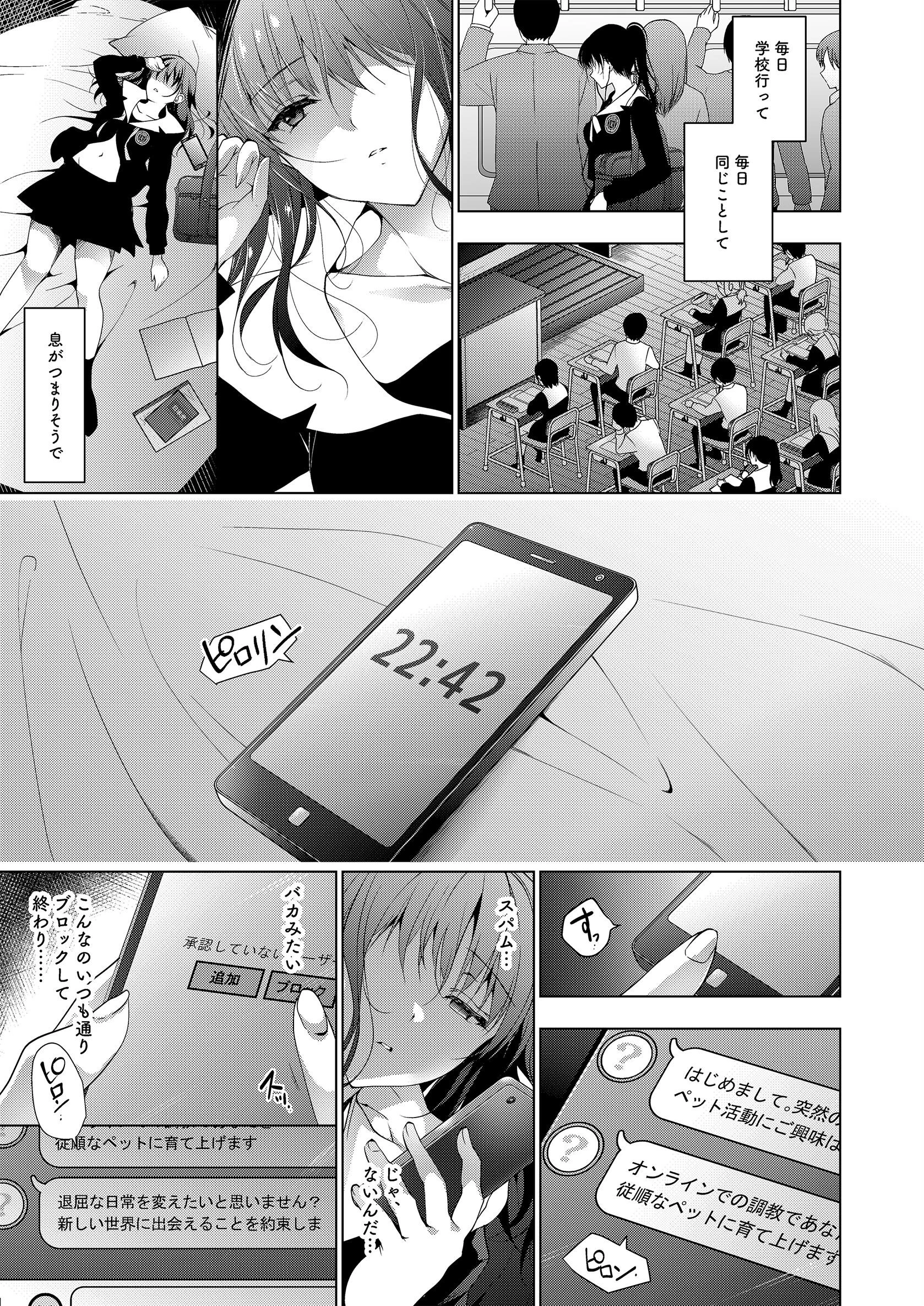 画面越しのパラフィリア【白抜き修正版】 5ページ