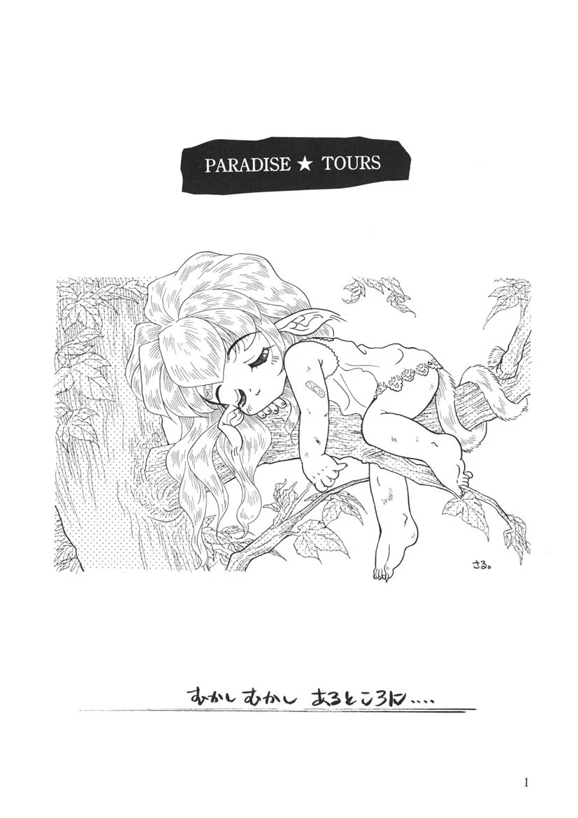 PARADISE★TOURS 3ページ