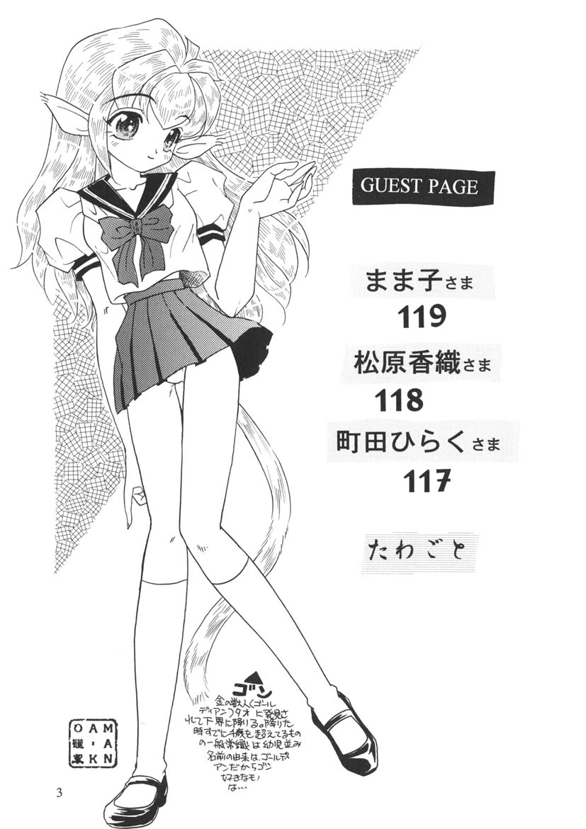 PARADISE★TOURS 5ページ