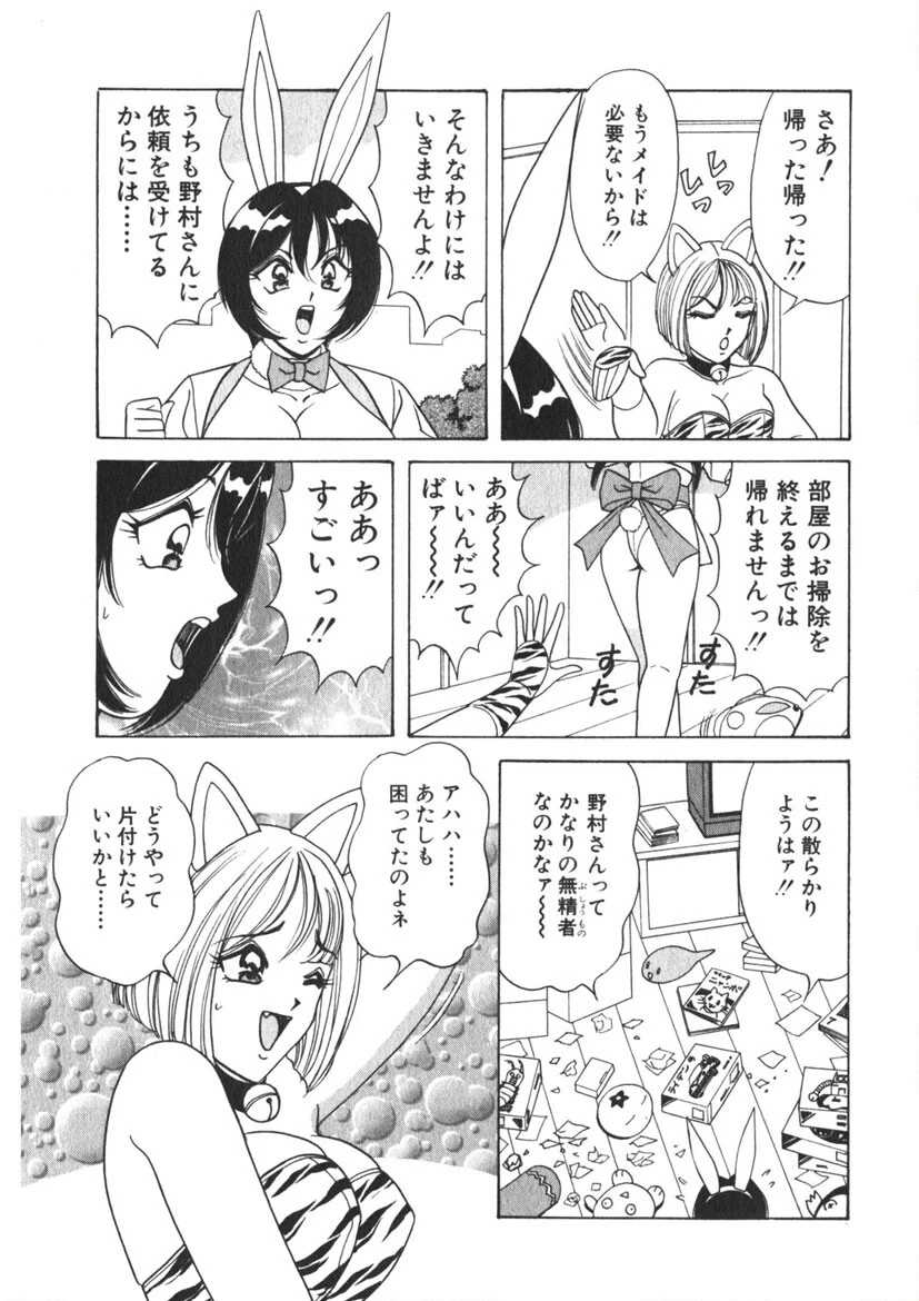 愛しのバニーメイド 10ページ