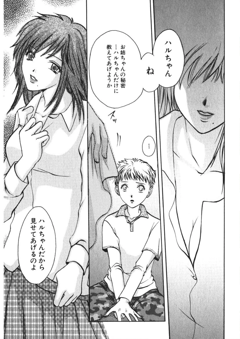 ウツクシイヒト 4ページ