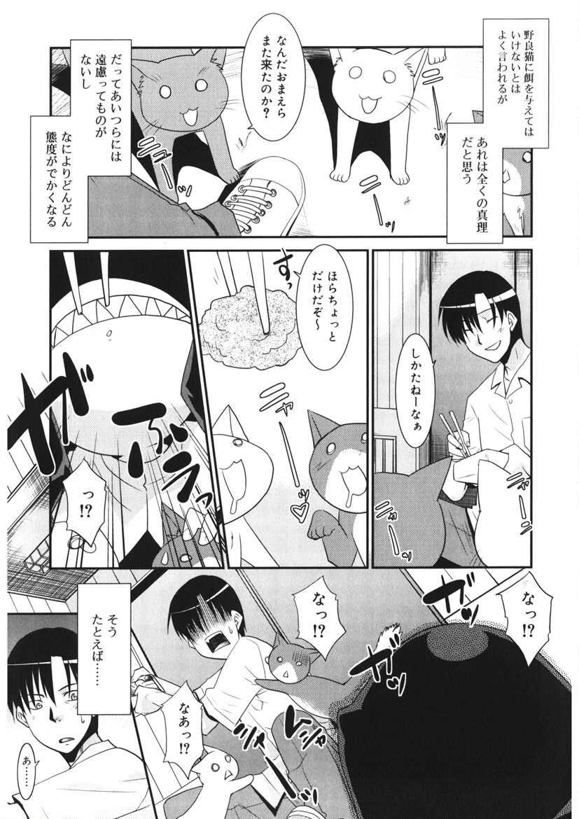 のらシス -WONDERING SISTER- 8ページ