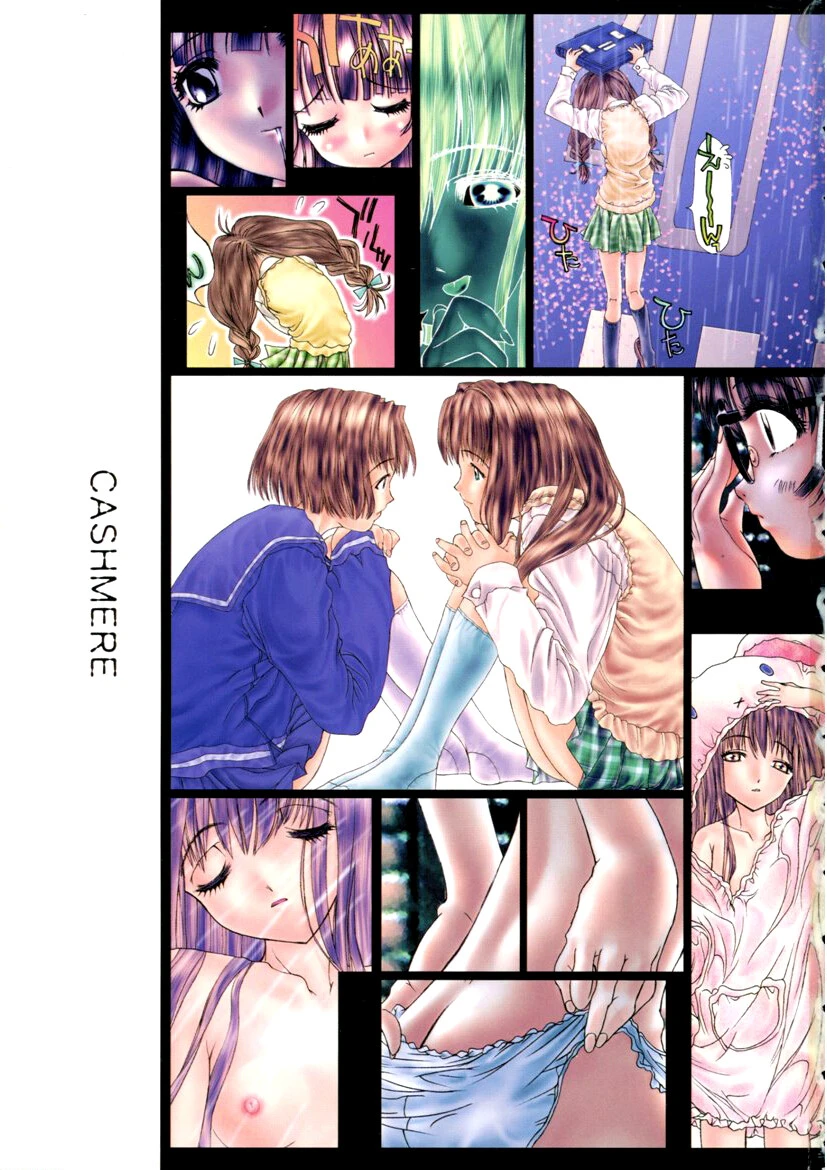 カシミヤ 2ページ