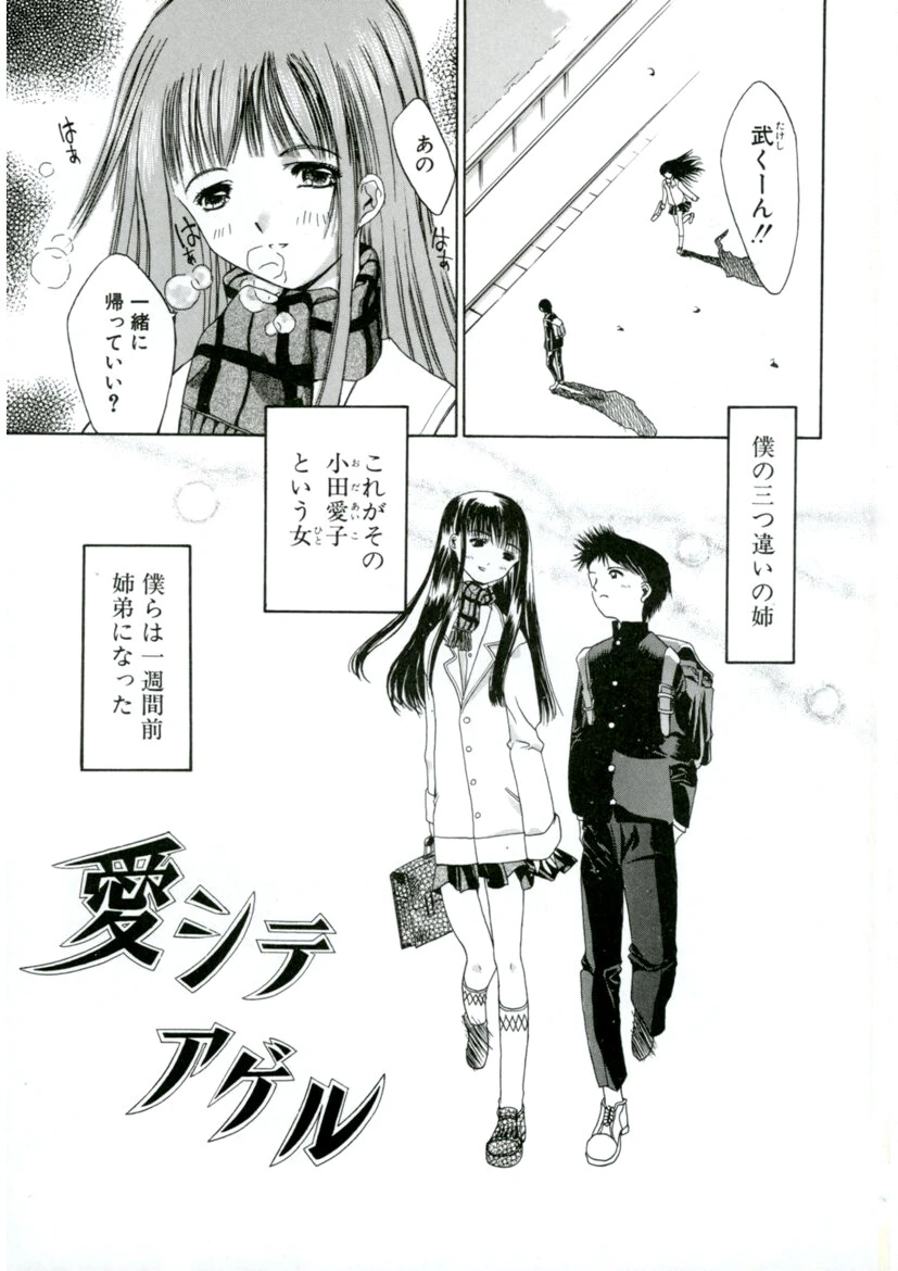 カシミヤ 4ページ