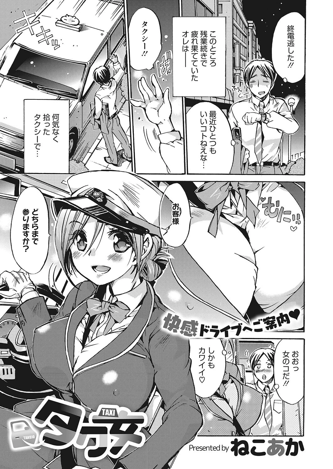 タク女 ねこあか