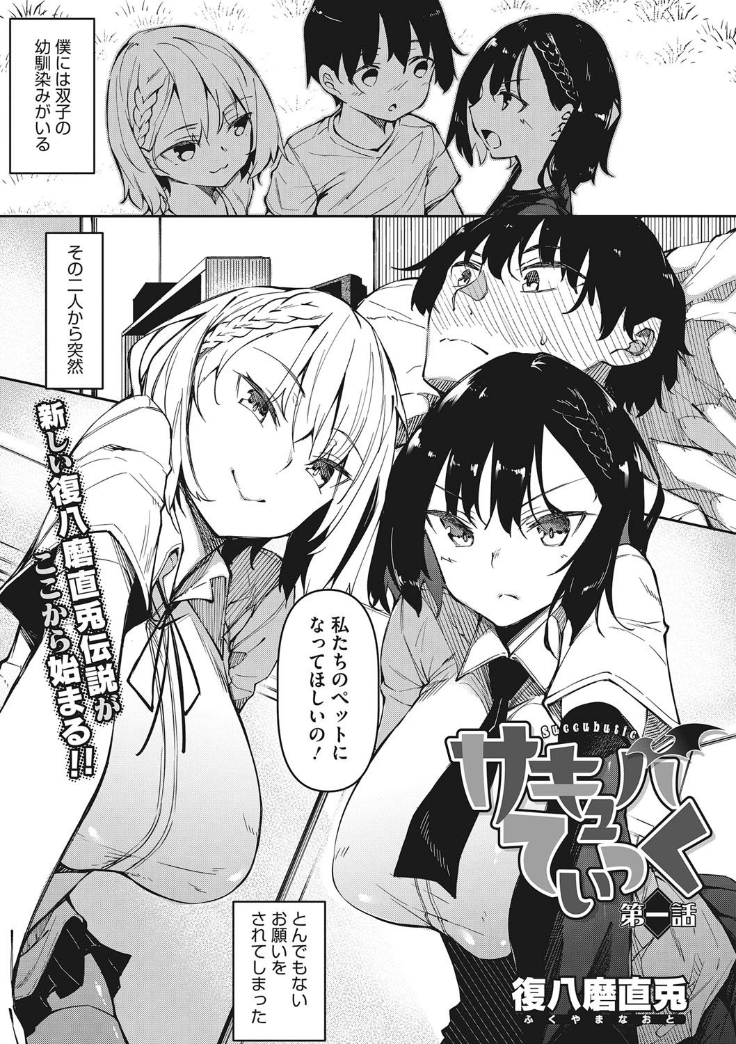 コアコレ 【搾精 交配 サキュバスNight】 3ページ