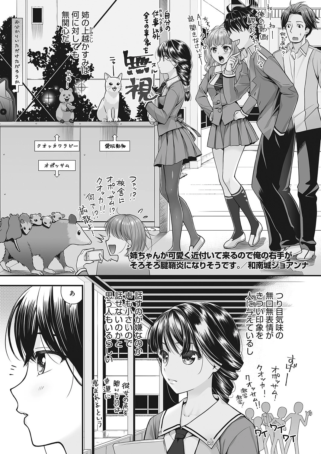 姉ちゃんが可愛く近付いて来るので僕の右手がそろそろ腱鞘炎になりそうです。（単話） 和南城ジョアンナ