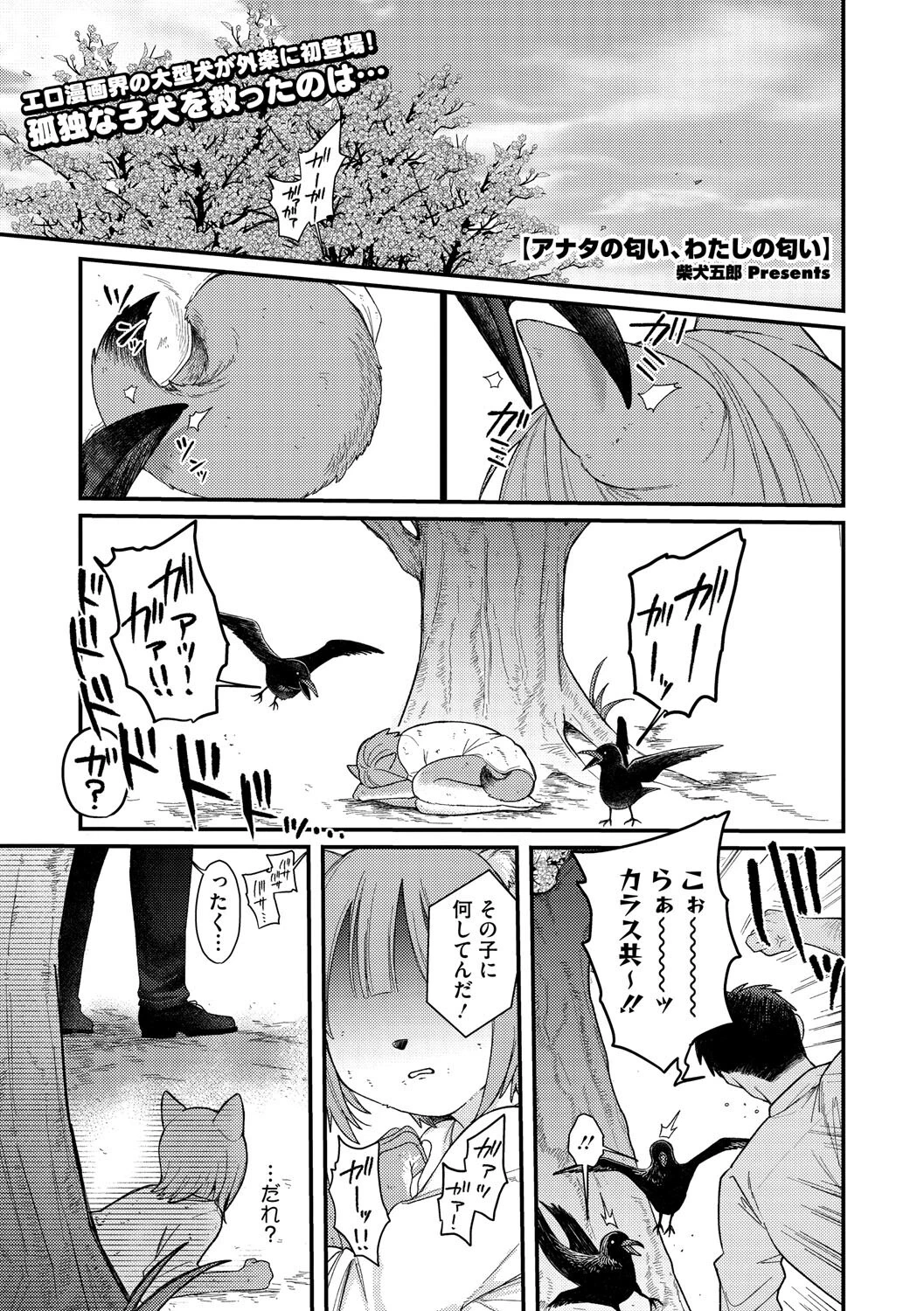 アナタの匂い、わたしの匂い 柴犬五郎