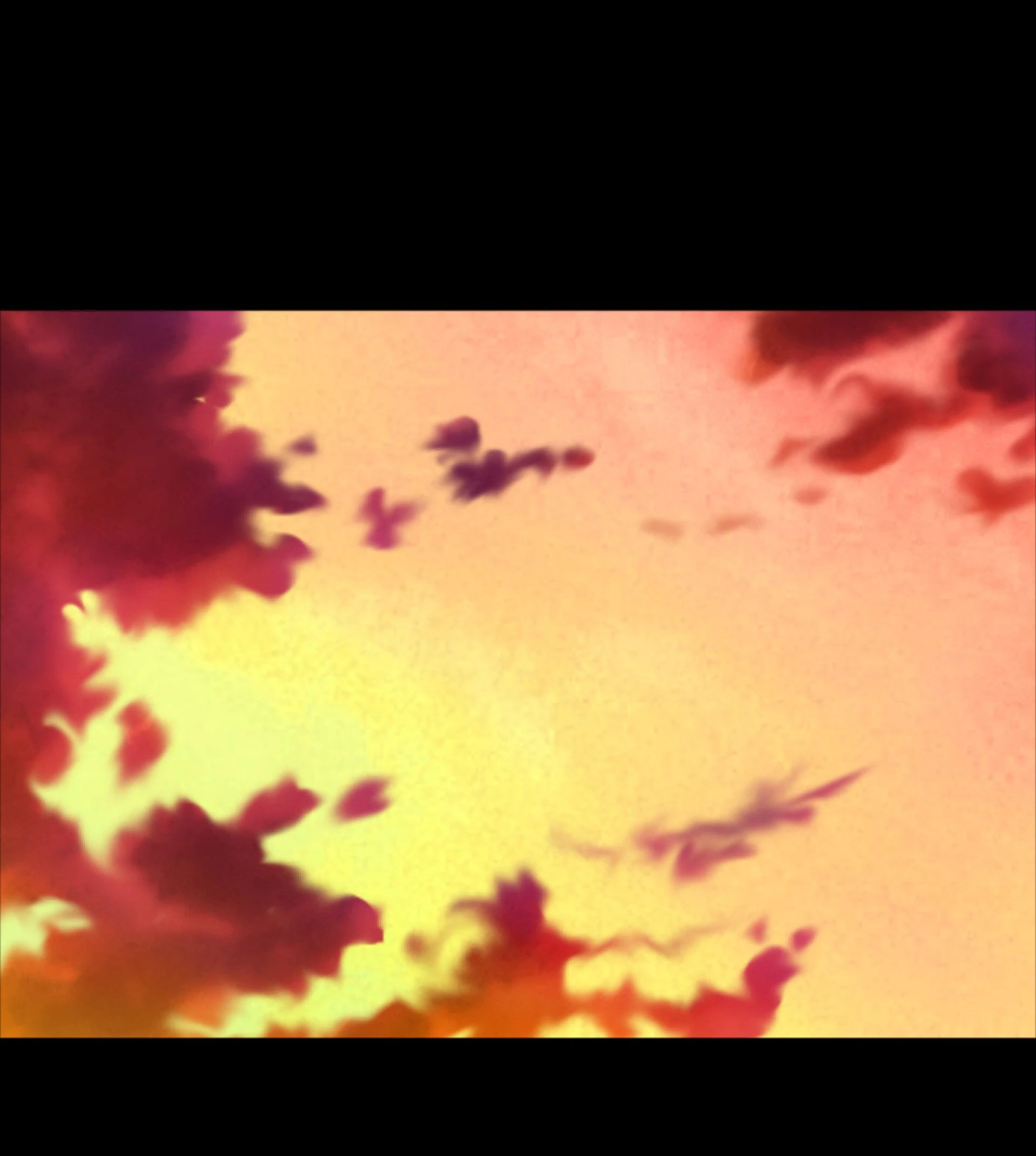 貞操観念逆転！？痴女だらけの世界でハーレム性生活！！ 15ページ