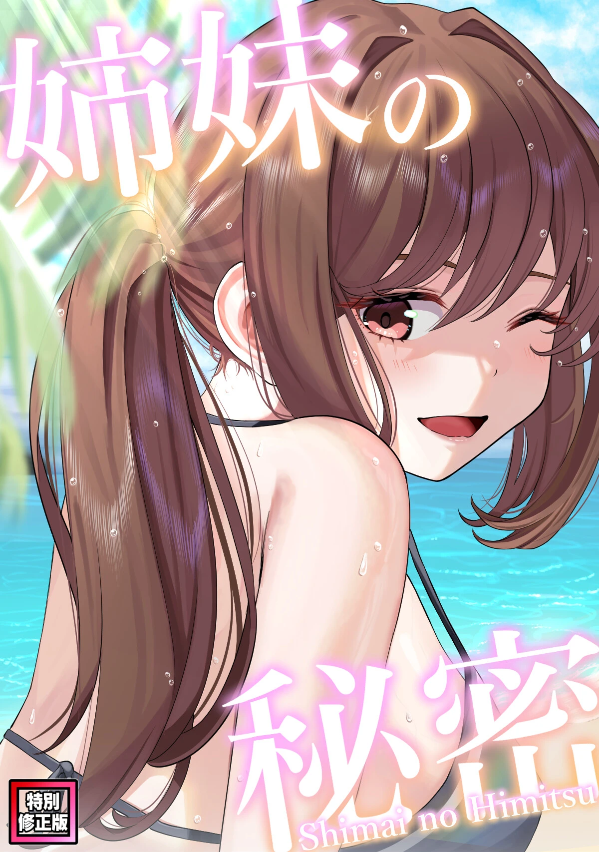 姉妹の秘密【特別修正版】（13） シンビア