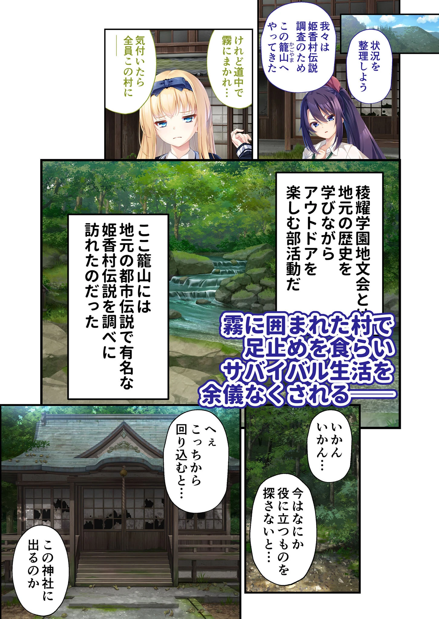 廃村●● コレクションパック 〜淫悦に染まる夢幻の楽園〜 モザイク版 11ページ