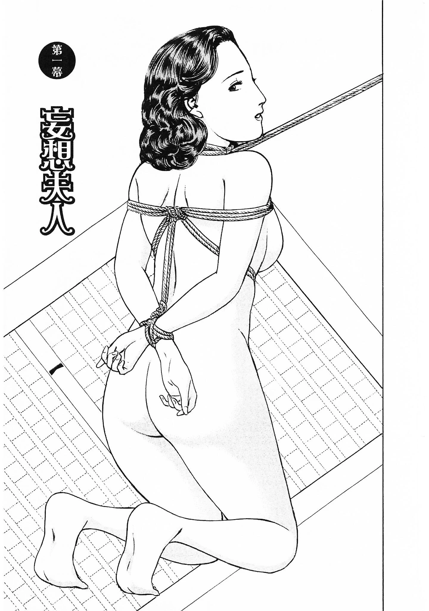 官能奥様劇場2妄想夫人<特別版>・鶴永いくお官能コレクション1 3ページ