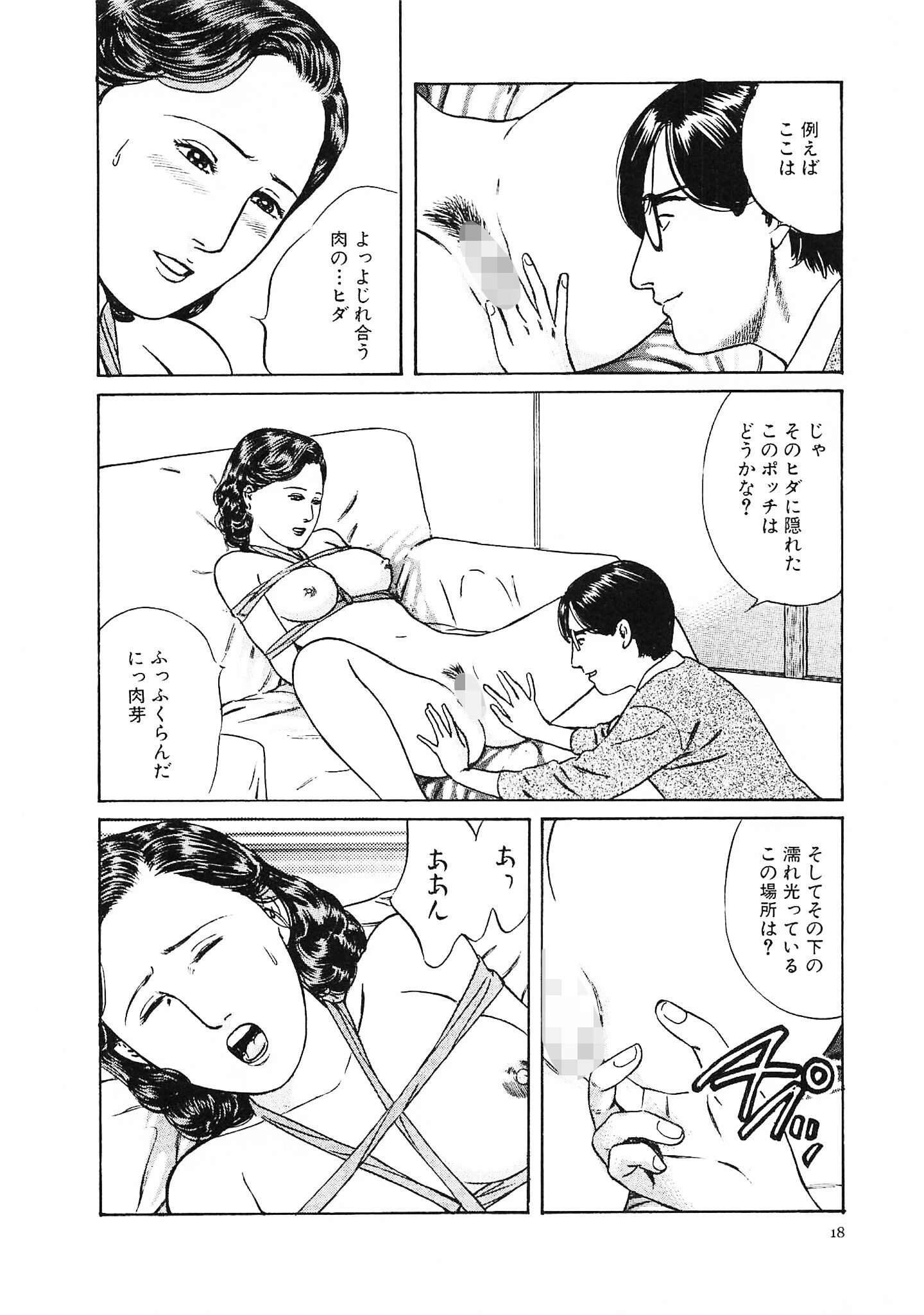 官能奥様劇場2妄想夫人＜特別版＞・鶴永いくお官能コレクション1 16ページ