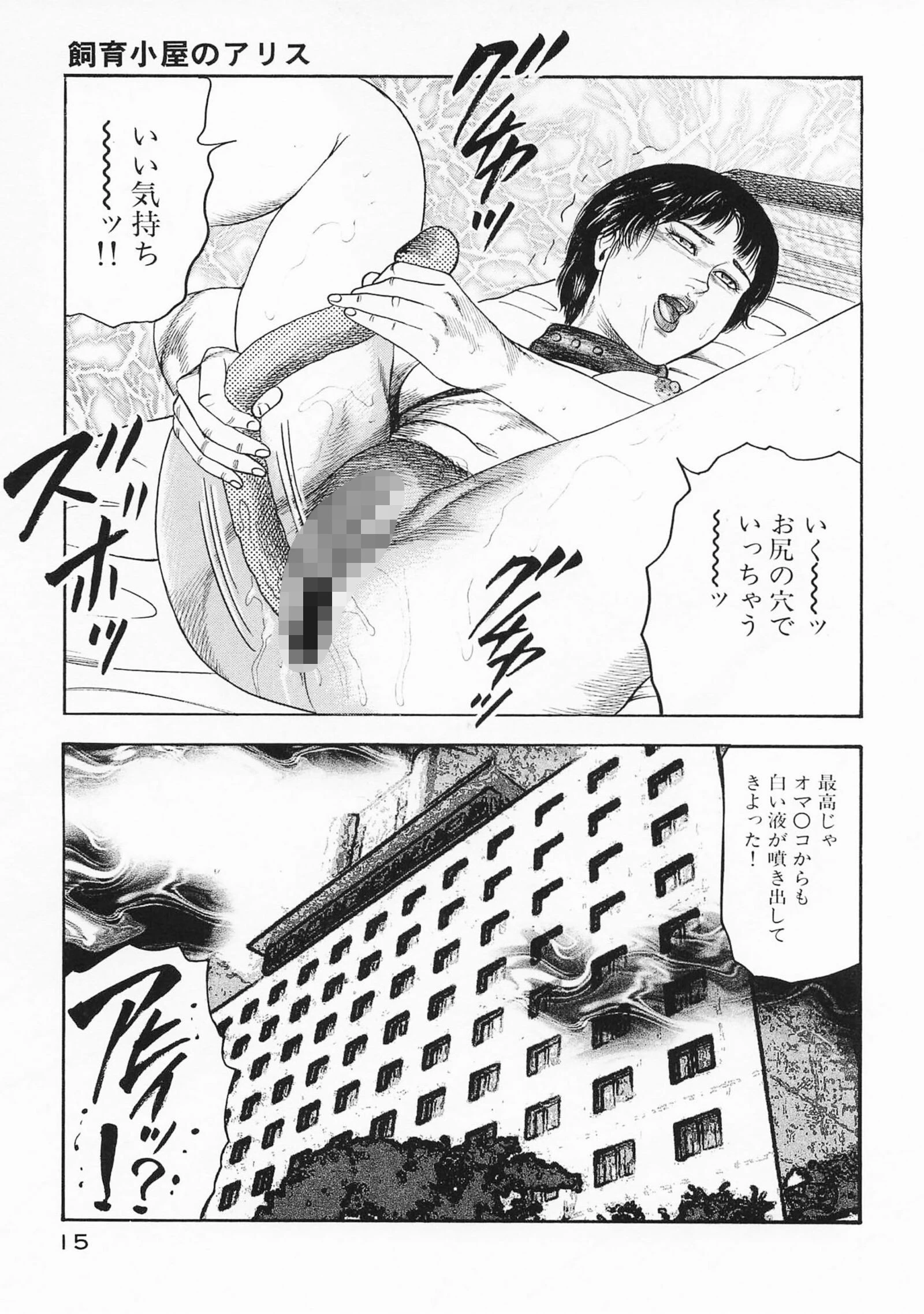 菜美の性愛日記2処女奴●化計画編＜お宝原画入り特別版＞・三条友美アンソロジー10 15ページ